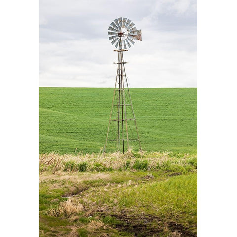 Palouse-Washington State-USA-Windmill in wheat field in the Palouse hills Black Modern Wood Framed Art Print by Wilson, Emily M.