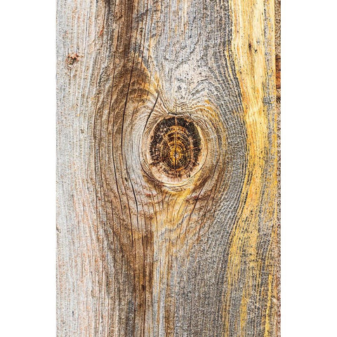 Latah-Washington State-USA-Knot in weathered wood on an old barn Black Modern Wood Framed Art Print by Wilson, Emily M.