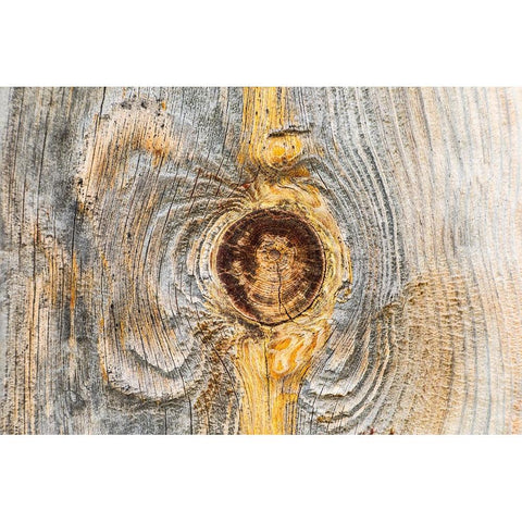 Latah-Washington State-USA-Knot in weathered wood on an old barn Black Modern Wood Framed Art Print by Wilson, Emily M.