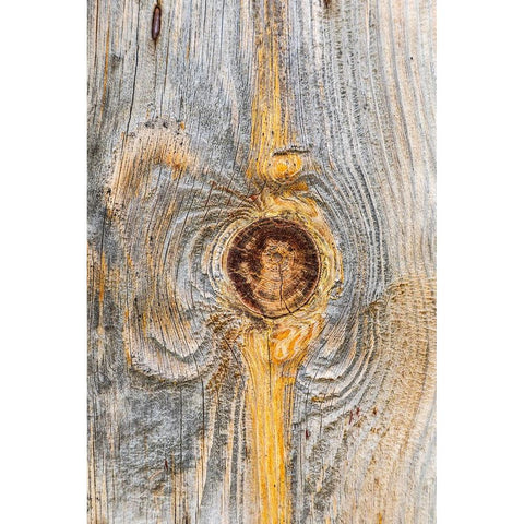 Latah-Washington State-USA-Knot in weathered wood on an old barn Black Modern Wood Framed Art Print by Wilson, Emily M.