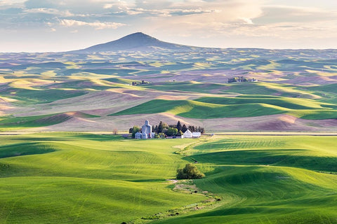 Farmington-Washington State-USA-Wheat farms in front of Steptoe Butte in the Palouse hills White Modern Wood Framed Art Print with Double Matting by Wilson, Emily M.