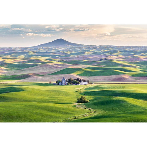 Farmington-Washington State-USA-Wheat farms in front of Steptoe Butte in the Palouse hills Black Modern Wood Framed Art Print by Wilson, Emily M.