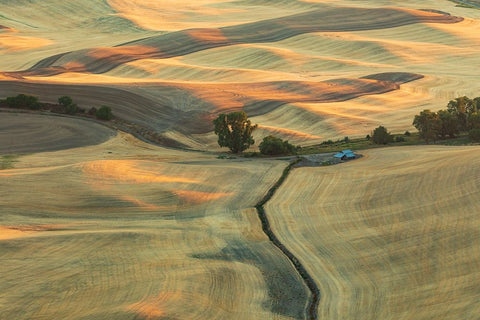 USA- Washington State- Whitman County- Palouse. Rolling fields and hills near Steptoe Butte. Black Ornate Wood Framed Art Print with Double Matting by Wilson, Emily M.