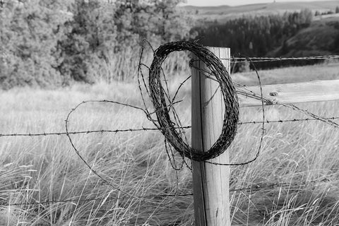 USA- Washington State- Whitman County- Palouse. Barbed wire fence Posts. White Modern Wood Framed Art Print with Double Matting by Wilson, Emily M.