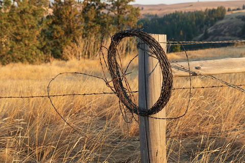 USA- Washington State- Whitman County- Palouse. Barbed wire fence Posts. White Modern Wood Framed Art Print with Double Matting by Wilson, Emily M.