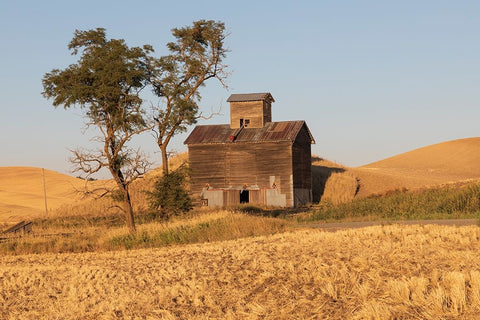 USA- Washington State- Whitman County- Palouse. Colfax. Old grain silo and barn along Filan Road. Black Modern Wood Framed Art Print by Wilson, Emily M.