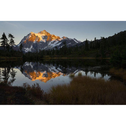 Glaciated Mt Shuksan reflected in Picture Lake-Mt Baker-Snoqualmie National Forest  Black Modern Wood Framed Art Print by Luhm, Gary