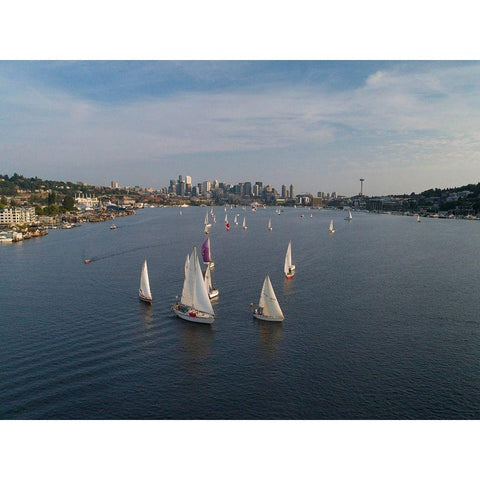 Aerial view of sailboats racing on Lake Union in the evening with the Seattle skyline White Modern Wood Framed Art Print by Probst, Greg