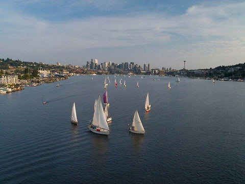 Aerial view of sailboats racing on Lake Union in the evening with the Seattle skyline Black Ornate Wood Framed Art Print with Double Matting by Probst, Greg