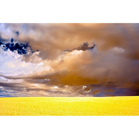 USA-Palouse abstract Black Modern Wood Framed Art Print by Theodore, George and Marilu