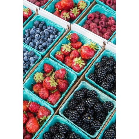 Issaquah-Washington State-USA Pints of freshly harvested strawberries Gold Ornate Wood Framed Art Print with Double Matting by Horton, Janet