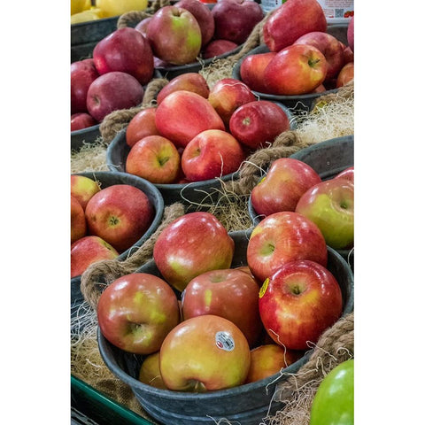 Wenatchee-Washington State-USA Freshly harvested locally grown Fuji and other apples Black Modern Wood Framed Art Print with Double Matting by Horton, Janet
