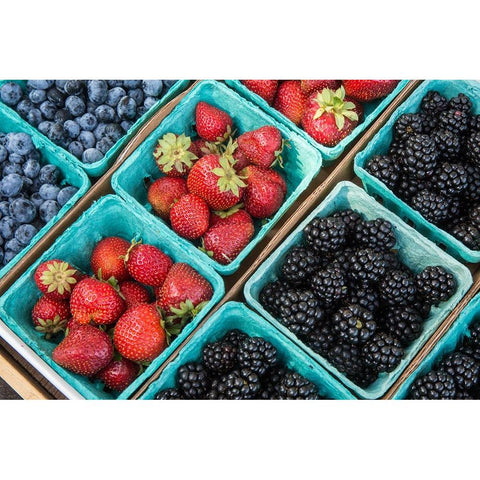 Issaquah-Washington State-USA Pints of freshly harvested strawberries Black Modern Wood Framed Art Print by Horton, Janet