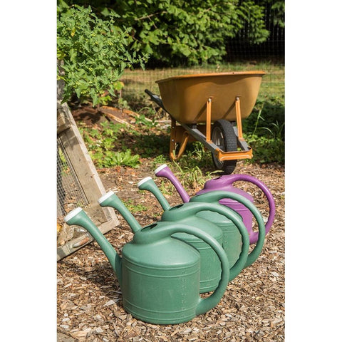 Issaquah-Washington State-USA Row of plastic watering cans for hand-watering a garden Black Modern Wood Framed Art Print by Horton, Janet