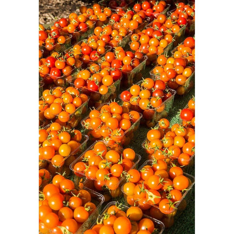 Issaquah-Washington State-USA Pints of cherry tomatoes for sale at a Farmers Market Black Modern Wood Framed Art Print by Horton, Janet