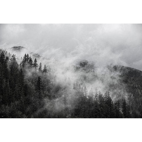 North Cascades Mountains-foggy mountain White Modern Wood Framed Art Print by Sienda, Jolly