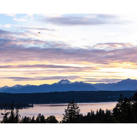 Bremerton-Washington State-Olympic Mountains-Puget Sound Black Modern Wood Framed Art Print by Sienda, Jolly