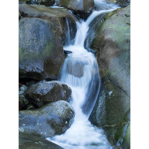 Washington State Central Cascades-Martin Creek Falls Black Modern Wood Framed Art Print by Wild, Jamie and Judy