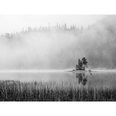 Washington State Alpine Lakes Wilderness-Snow Lake-island and fog Black Modern Wood Framed Art Print by Wild, Jamie and Judy