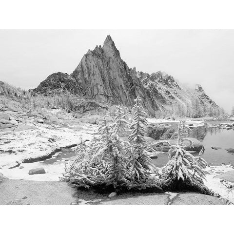 Alpine Lakes Wilderness-Enchantment Lakes-snow covered larch trees-with Prusik Peak Gold Ornate Wood Framed Art Print with Double Matting by Wild, Jamie and Judy