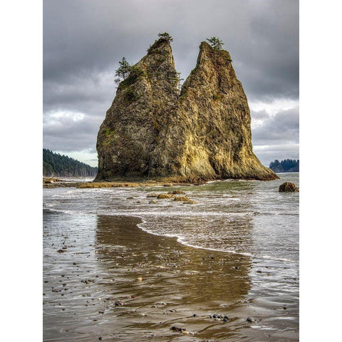 WA-Olympic National Park-Rialto Beach-Seastack and stormy sky White Modern Wood Framed Art Print by Wild, Jamie and Judy