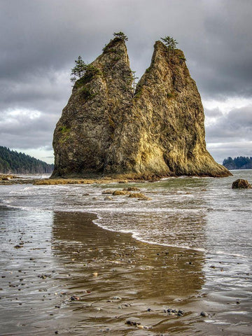 WA-Olympic National Park-Rialto Beach-Seastack and stormy sky White Modern Wood Framed Art Print with Double Matting by Wild, Jamie and Judy