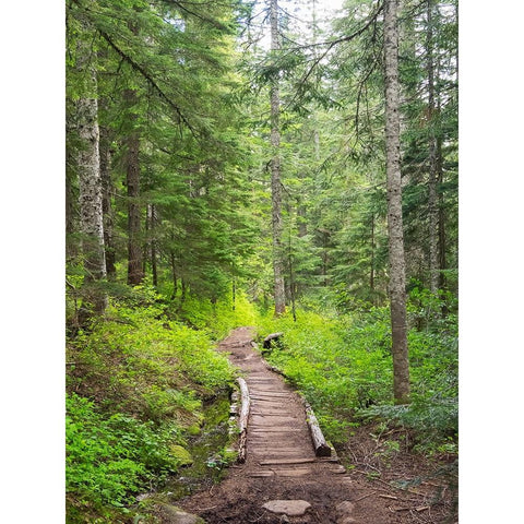 Washington State-Central Cascades-Trail to Pratt Ridge White Modern Wood Framed Art Print by Wild, Jamie and Judy