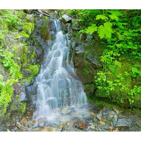 Washington State-Central Cascades-Waterfall-on trail to Annette Lake Black Modern Wood Framed Art Print by Wild, Jamie and Judy