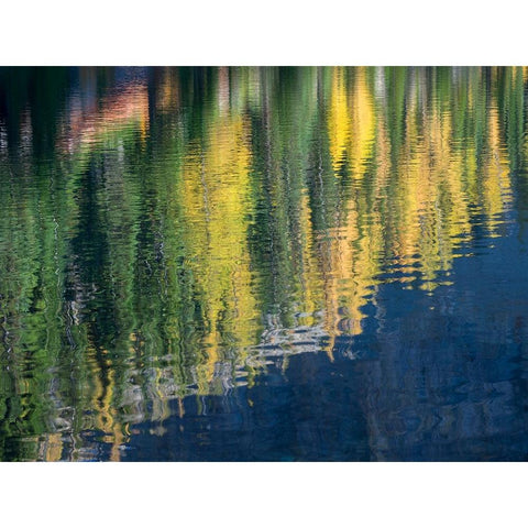 Washington State-North Cascades-Blue Lake-Larch tree reflections Gold Ornate Wood Framed Art Print with Double Matting by Wild, Jamie and Judy