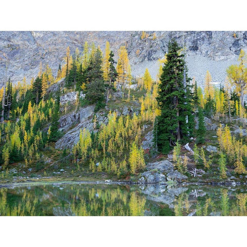 Washington State-North Cascades-Alpine Pond with Larch and Fir trees Black Modern Wood Framed Art Print by Wild, Jamie and Judy