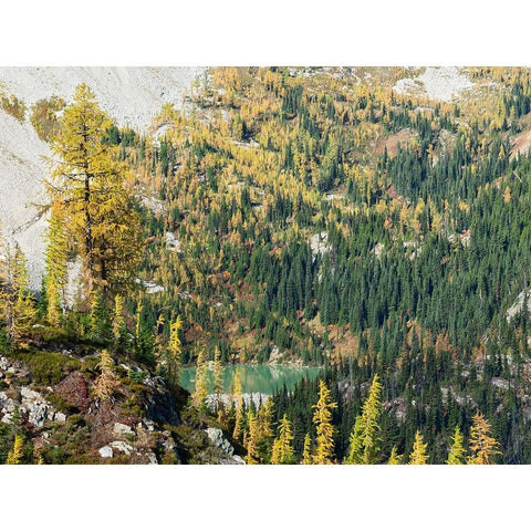 Washington State-North Cascades-Lewis Lake-view from Heather Pass Black Modern Wood Framed Art Print by Wild, Jamie and Judy