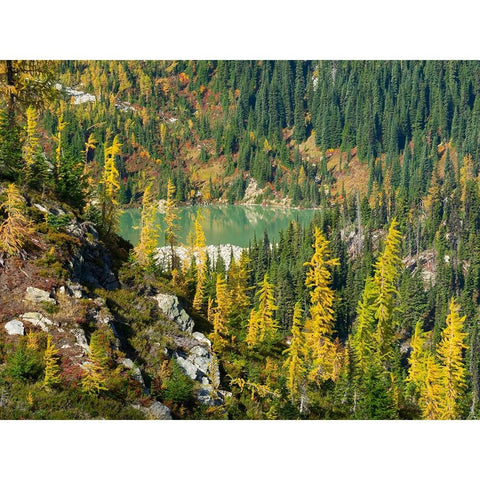 Washington State-North Cascades-Lewis Lake-view from Heather Pass Black Modern Wood Framed Art Print by Wild, Jamie and Judy