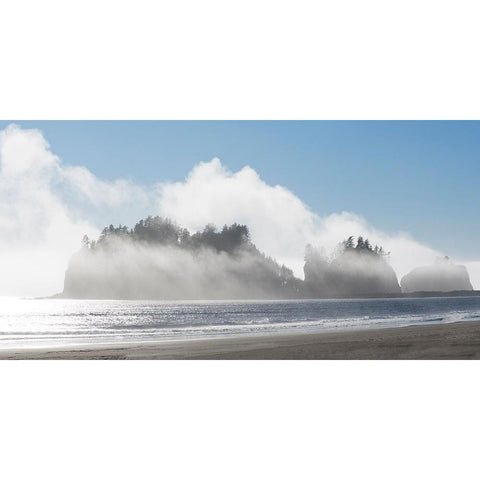 Washington State-Pacific Coast-First Beach James Island in fog White Modern Wood Framed Art Print by Wild, Jamie and Judy
