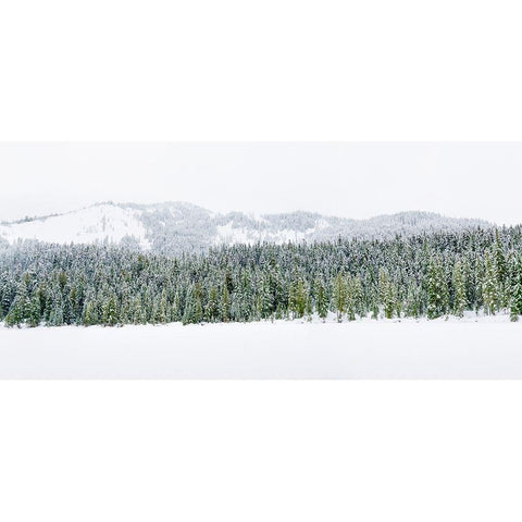 Washington State-Central Cascades Winter at frozen Olallie Lake Black Modern Wood Framed Art Print by Wild, Jamie and Judy