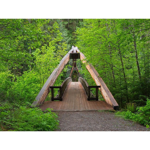 Washington State-Central Cascades Footbridge-over Middle Fork Snoqualmie River Black Modern Wood Framed Art Print by Wild, Jamie and Judy