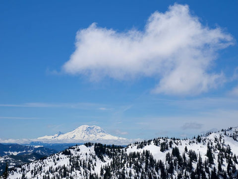 Washington State-Central Cascades View of Mount Rainier from Pratt Mountain White Modern Wood Framed Art Print with Double Matting by Wild, Jamie and Judy