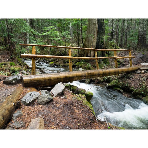 Washington State-Central Cascades Footbridge over Talapus Creek Black Modern Wood Framed Art Print by Wild, Jamie and Judy