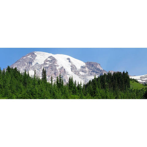 Washington State-Mount Rainier National Park View from Skyline Trail Black Modern Wood Framed Art Print by Wild, Jamie and Judy