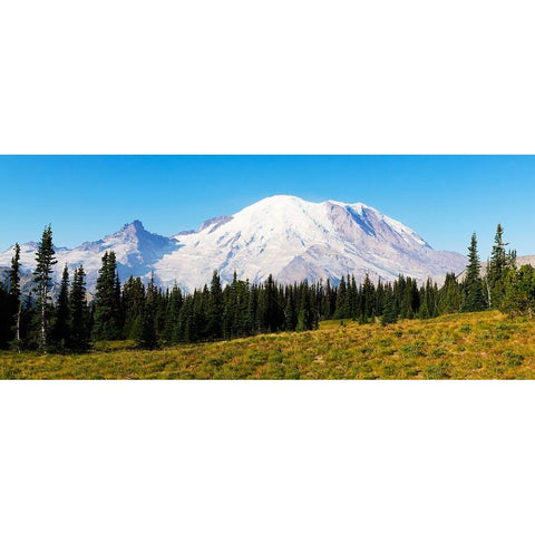 Washington State-Mount Rainier National Park Mount Rainier Black Modern Wood Framed Art Print by Wild, Jamie and Judy