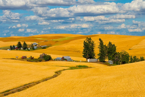 Clouds above farm house on wheat field-Palouse-eastern Washington State-USA White Modern Wood Framed Art Print with Double Matting by Su, Keren