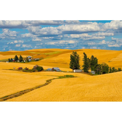 Clouds above farm house on wheat field-Palouse-eastern Washington State-USA Black Modern Wood Framed Art Print by Su, Keren