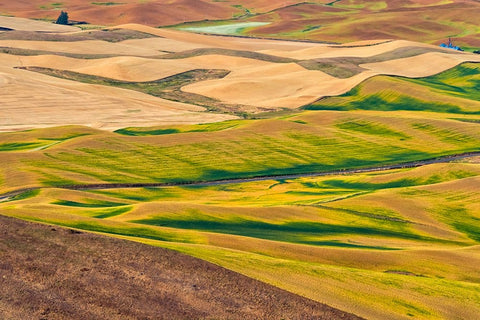 Landscape of rolling wheat field-Palouse-Washington State-USA Black Ornate Wood Framed Art Print with Double Matting by Su, Keren
