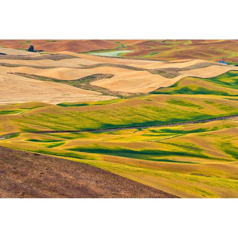 Landscape of rolling wheat field-Palouse-Washington State-USA Black Modern Wood Framed Art Print by Su, Keren