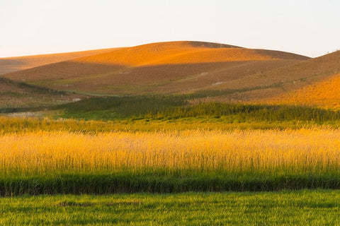 Sunset view of wheat field-Palouse-Washington State-USA Black Ornate Wood Framed Art Print with Double Matting by Su, Keren
