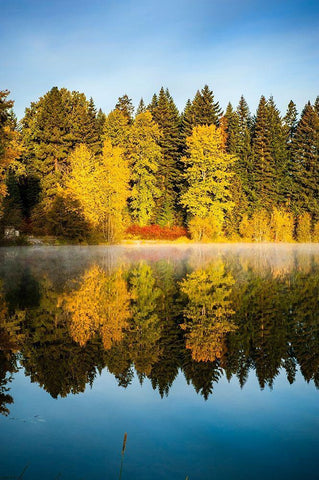 Washington State-Cle Elum Fall color by a pond in Central Washington Black Ornate Wood Framed Art Print with Double Matting by Duval, Richard