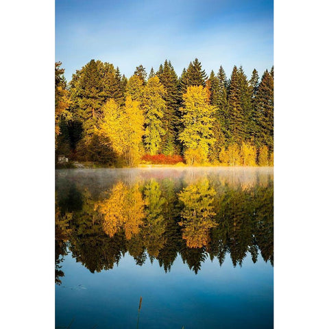 Washington State-Cle Elum Fall color by a pond in Central Washington Black Modern Wood Framed Art Print by Duval, Richard