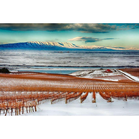 Washington State-Pasco Winter on Sagemoor Vineyard with the Columbia River Black Modern Wood Framed Art Print by Duval, Richard