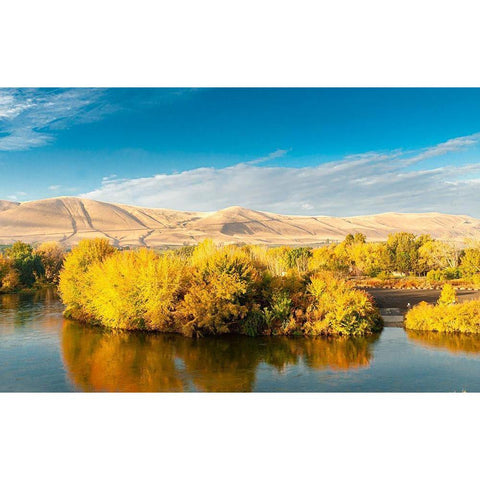 Washington State-Yakima Valley Fall colors are reflected in the Yakima River Black Modern Wood Framed Art Print by Duval, Richard