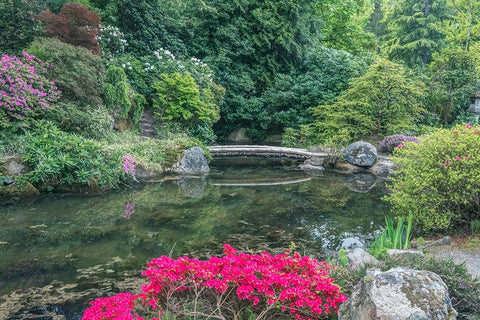 Washington State-Seattle Kubota Garden Black Ornate Wood Framed Art Print with Double Matting by Tilley, Rob