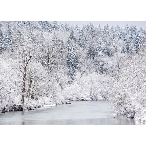 Washington State-Fall City and the Snoqualmie river with winter fresh snow fall Black Modern Wood Framed Art Print by Gulin, Sylvia